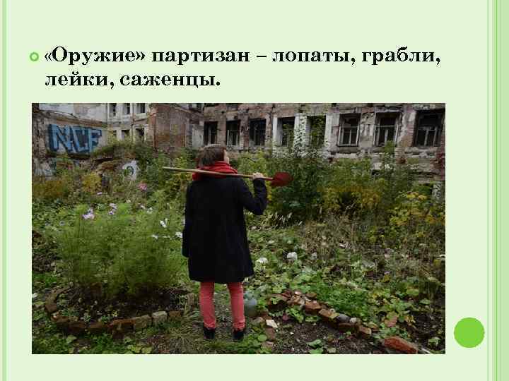  «Оружие» партизан – лопаты, грабли, лейки, саженцы. 