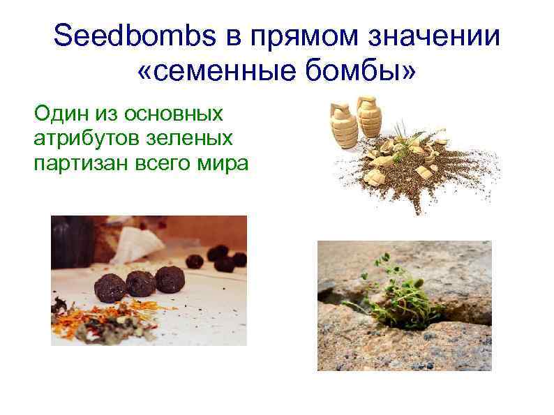 Seedbombs в прямом значении «семенные бомбы» Один из основных атрибутов зеленых партизан всего мира