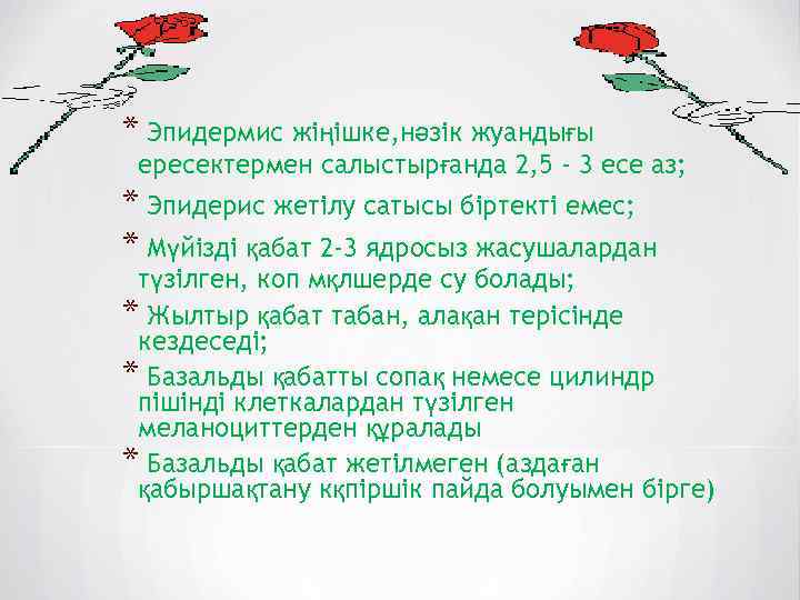* Эпидермис жіңішке, нәзік жуандығы ересектермен салыстырғанда 2, 5 - 3 есе аз; *