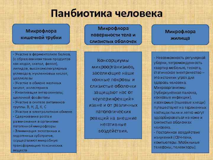 Панбиотика человека Микрофлора кишечной трубки - Участие в ферментолизе белков, (с образованием таких продуктов