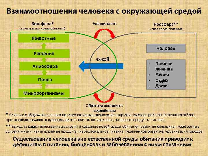 Схема взаимодействия человека со средой обитания