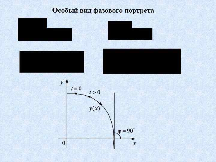 Особый вид фазового портрета 