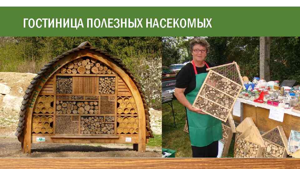 ГОСТИНИЦА ПОЛЕЗНЫХ НАСЕКОМЫХ 