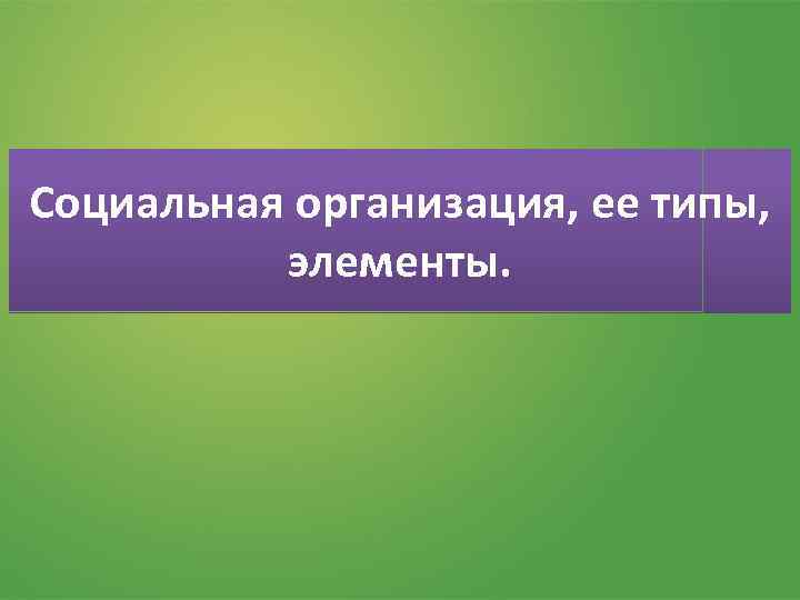 Социальная организация, ее типы, элементы. 