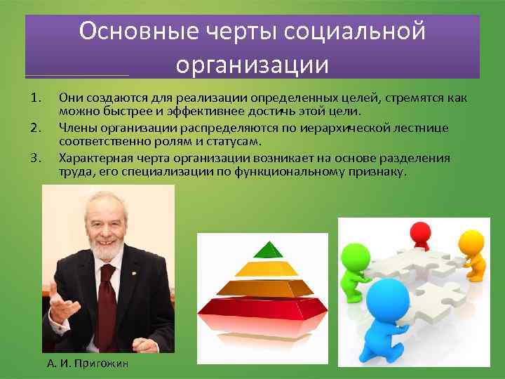 Социально организованное