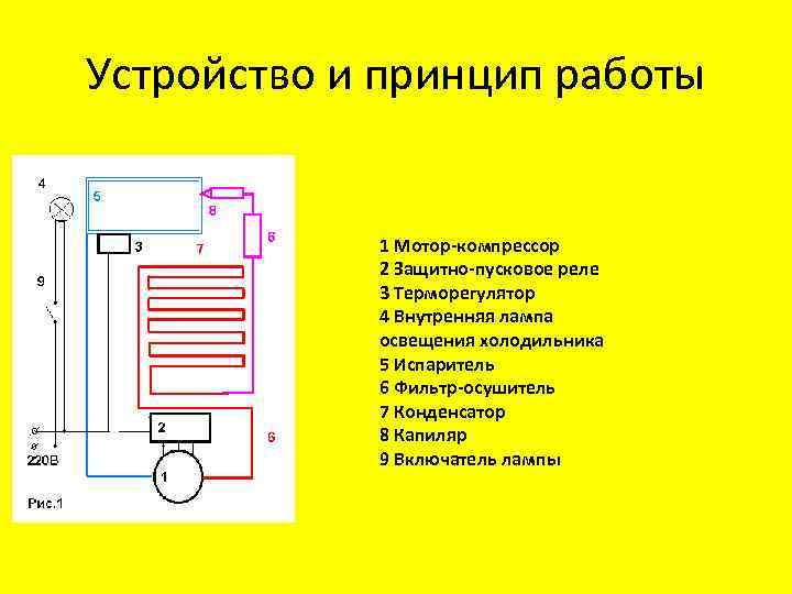 Устройство и принцип работы 1 Мотор-компрессор 2 Защитно-пусковое реле 3 Терморегулятор 4 Внутренняя лампа