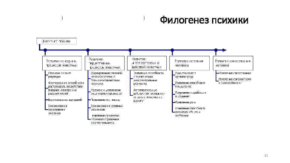 Филогенез психики 11 