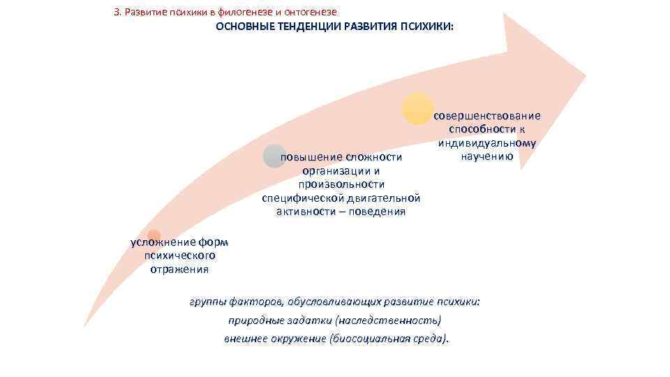 3. Развитие психики в филогенезе и онтогенезе ОСНОВНЫЕ ТЕНДЕНЦИИ РАЗВИТИЯ ПСИХИКИ: повышение сложности организации