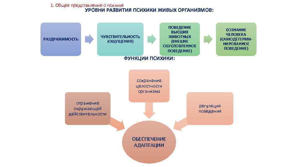 1. Общее представление о психике УРОВНИ РАЗВИТИЯ ПСИХИКИ ЖИВЫХ ОРГАНИЗМОВ: РАЗДРАЖИМОСТЬ ЧУВСТВИТЕЛЬНОСТЬ (ОЩУЩЕНИЯ) ПОВЕДЕНИЕ