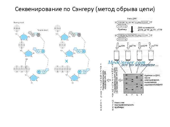 На этапе реализации мягкого проекта метод критической цепи мкц предполагает