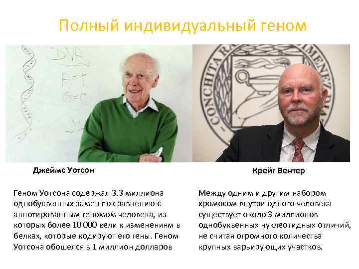 Полный индивидуальный геном Джеймс Уотсон Геном Уотсона содержал 3. 3 миллиона однобуквенных замен по