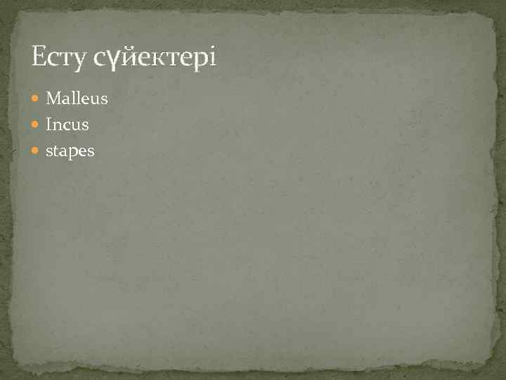 Есту сүйектері Malleus Incus stapes 