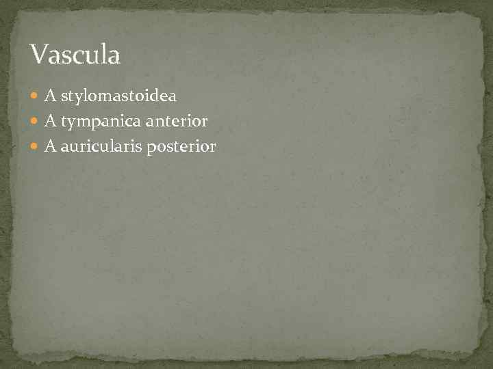 Vascula A stylomastoidea A tympanica anterior A auricularis posterior 