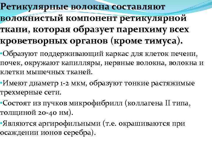 Ретикулярные волокна составляют волокнистый компонент ретикулярной ткани, которая образует паренхиму всех кроветворных органов (кроме