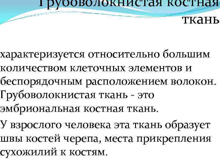 Грубоволокнистая костная ткань характеризуется относительно большим количеством клеточных элементов и беспорядочным расположением волокон. Грубоволокнистая