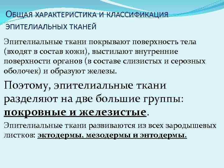 ОБЩАЯ ХАРАКТЕРИСТИКА И КЛАССИФИКАЦИЯ ЭПИТЕЛИАЛЬНЫХ ТКАНЕЙ Эпителиальные ткани покрывают поверхность тела (входят в состав