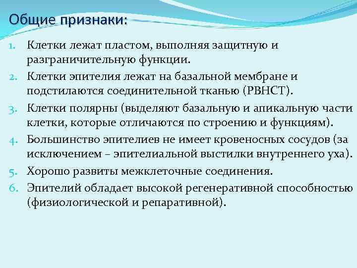 Общие признаки: 1. Клетки лежат пластом, выполняя защитную и разграничительную функции. 2. Клетки эпителия