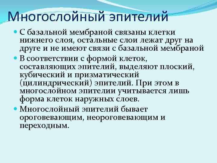 Многослойный эпителий С базальной мембраной связаны клетки нижнего слоя, остальные слои лежат друг на
