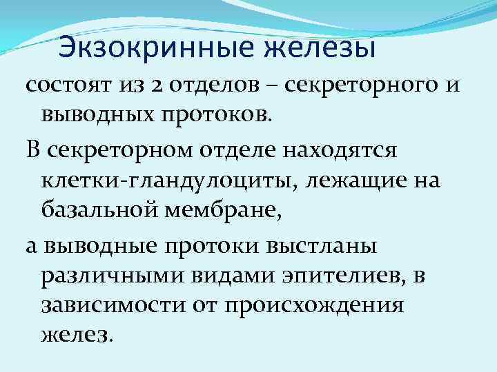 Экзокринные железы состоят из 2 отделов – секреторного и выводных протоков. В секреторном отделе