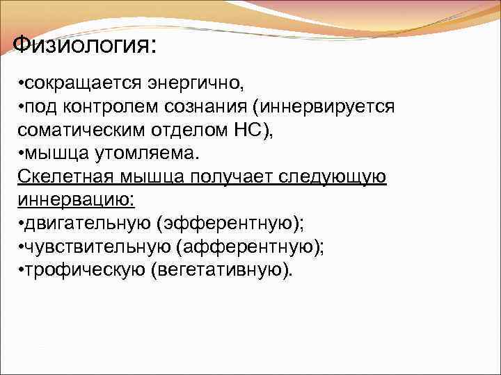 Физиология: • сокращается энергично, • под контролем сознания (иннервируется соматическим отделом НС), • мышца