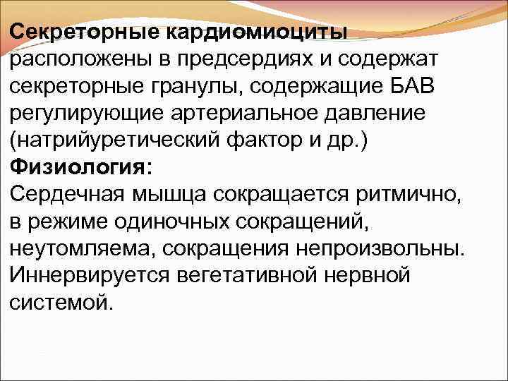 Секреторные кардиомиоциты расположены в предсердиях и содержат секреторные гранулы, содержащие БАВ регулирующие артериальное давление