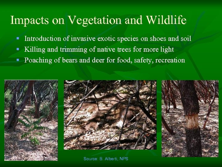 Impacts on Vegetation and Wildlife § Introduction of invasive exotic species on shoes and