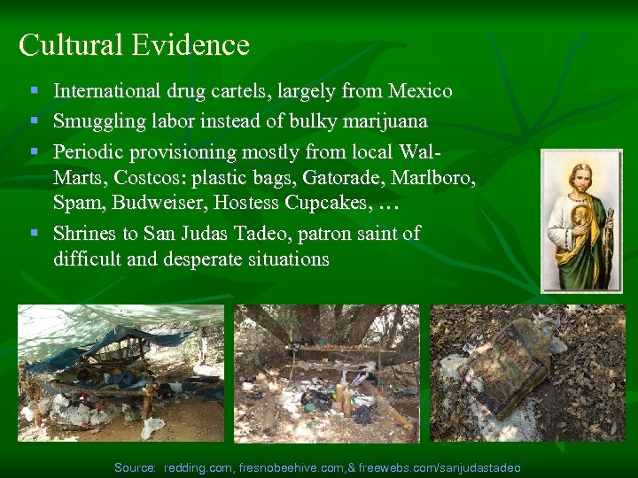 Cultural Evidence § International drug cartels, largely from Mexico § Smuggling labor instead of