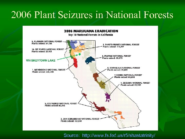 2006 Plant Seizures in National Forests Source: http: //www. fs. fed. us/r 5/shastatrinity/ 