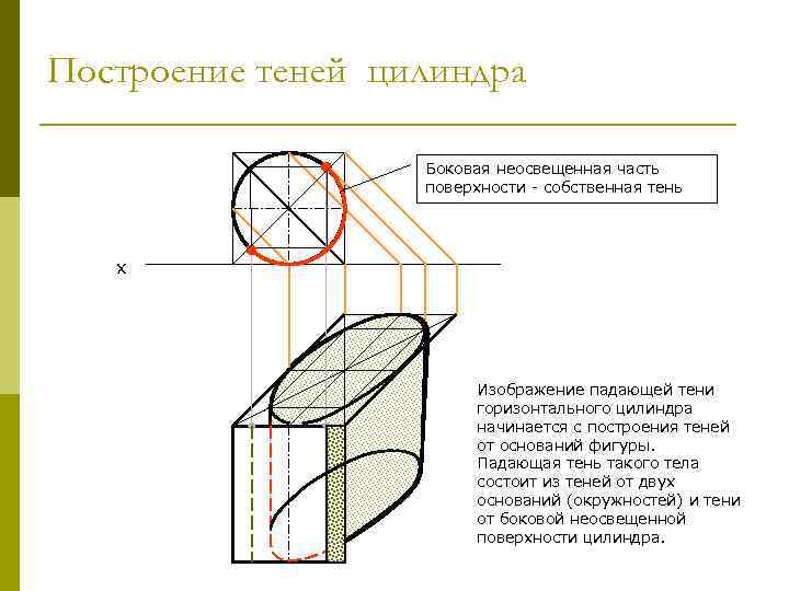 Построение теней цилиндра Боковая неосвещенная часть поверхности - собственная тень х Изображение падающей тени