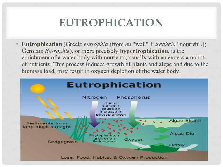 EUTROPHICATION • Eutrophication (Greek: eutrophia (from eu "well" + trephein "nourish". ); German: Eutrophie),