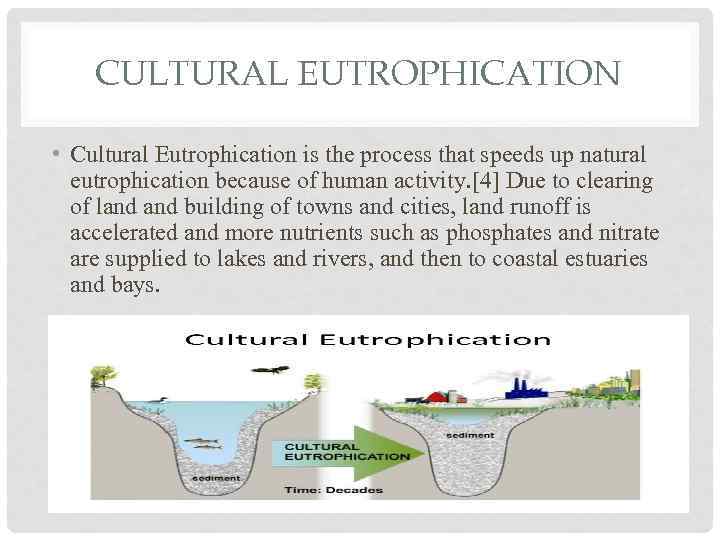 CULTURAL EUTROPHICATION • Cultural Eutrophication is the process that speeds up natural eutrophication because