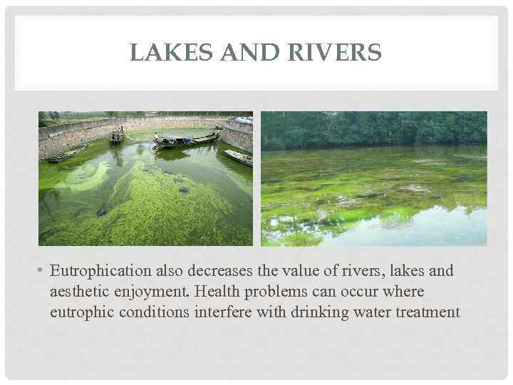 LAKES AND RIVERS • Eutrophication also decreases the value of rivers, lakes and aesthetic