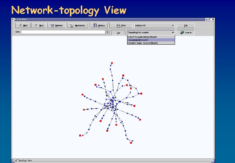 Network-topology View 