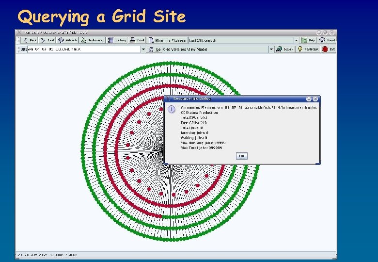 Querying a Grid Site 