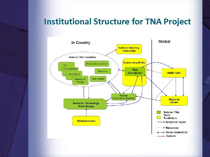 Institutional Structure for TNA Project 