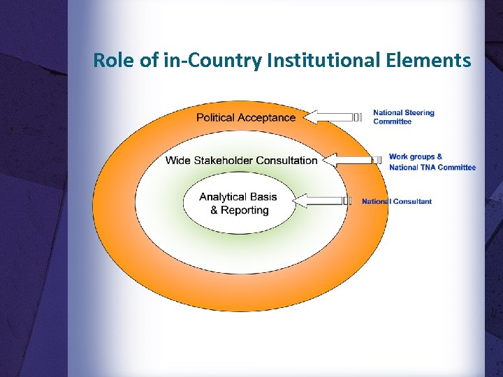 Role of in-Country Institutional Elements 