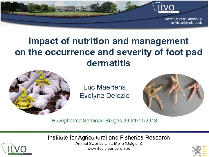 Impact of nutrition and management on the occurrence and severity of foot pad dermatitis