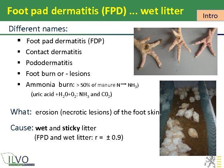 Foot pad dermatitis (FPD). . . wet litter Intro Different names: § Foot pad