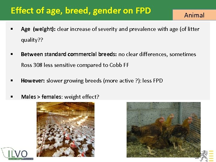 Effect of age, breed, gender on FPD § Animal Age (weight): clear increase of