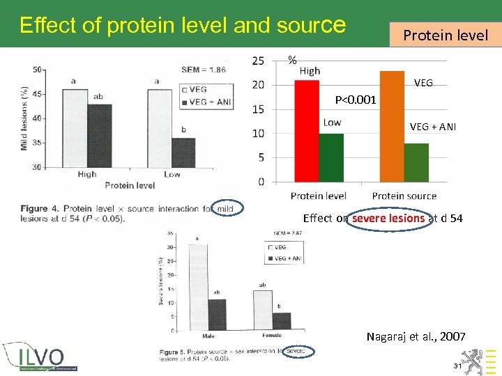 Effect of protein level and source Protein level % VEG H P<0. 001 VEG