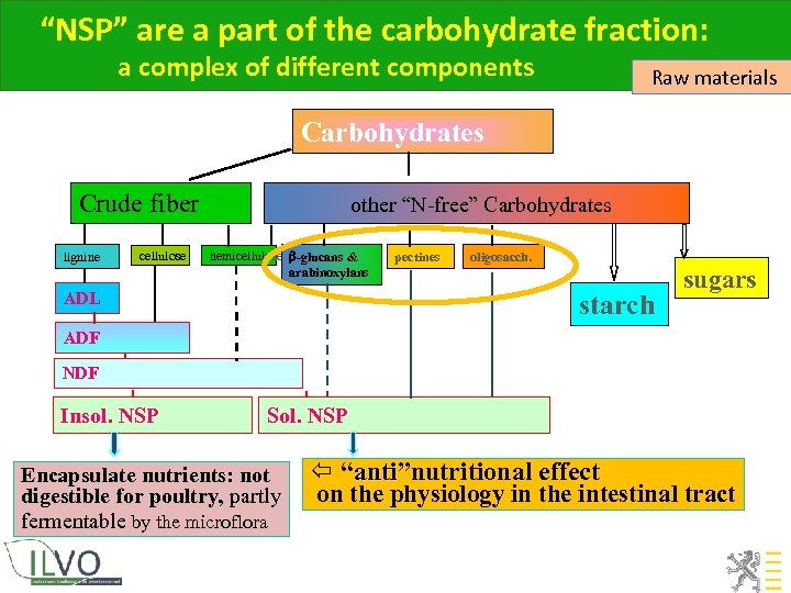 “NSP” are a part of the carbohydrate fraction: a complex of different components Raw
