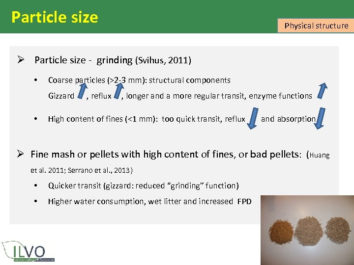 Particle size Physical structure Ø Particle size - grinding (Svihus, 2011) • Coarse particles