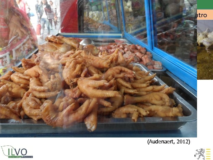 Adverse effects of foot pad dermatitis Intro Ø Animal welfare (pain, move less, eat