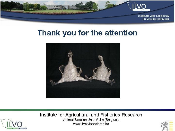 Thank you for the attention Institute for Agricultural and Fisheries Research Animal Science Unit,