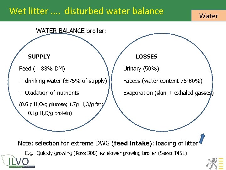 Wet litter …. disturbed water balance Water WATER BALANCE broiler: SUPPLY LOSSES Feed (±