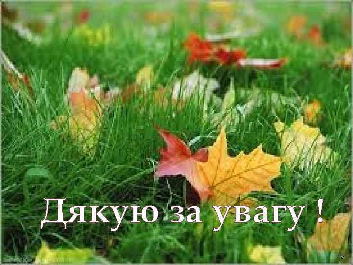 Дякую за увагу ! 57 