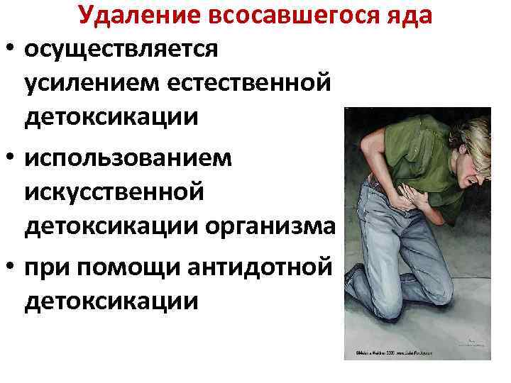 Удаление всосавшегося яда • осуществляется усилением естественной детоксикации • использованием искусственной детоксикации организма •