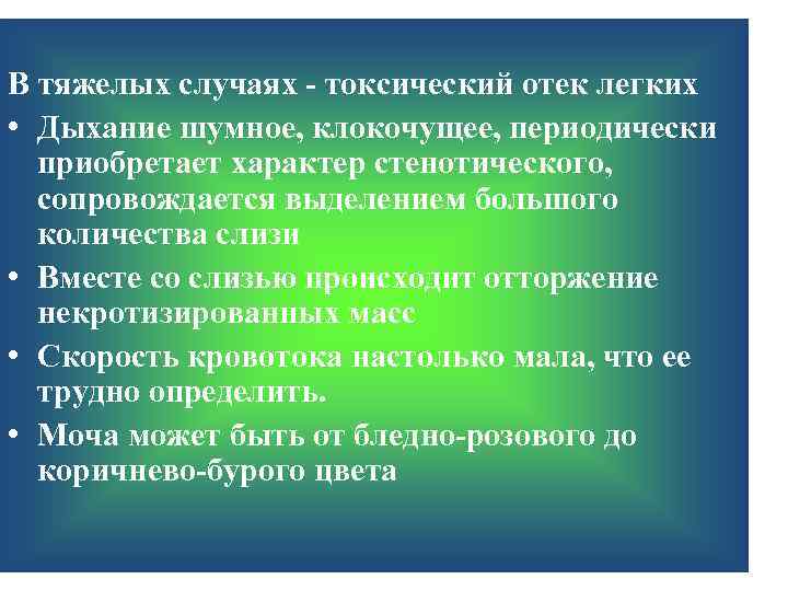 В тяжелых случаях - токсический отек легких • Дыхание шумное, клокочущее, периодически приобретает характер