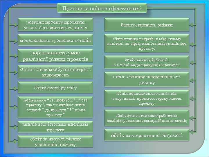 Принципи оцінки ефективності розгляд проекту протягом усього його життєвого циклу моделювання грошових потоків порівнянність