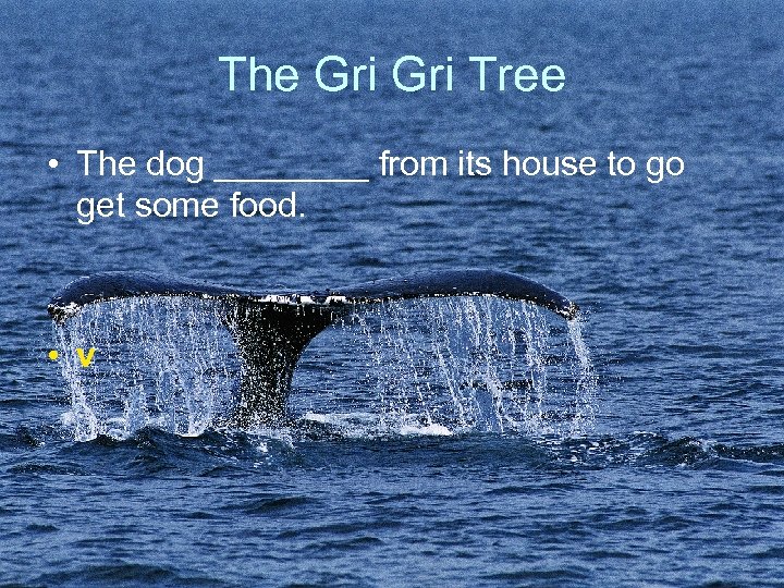 The Gri Tree • The dog ____ from its house to go get some